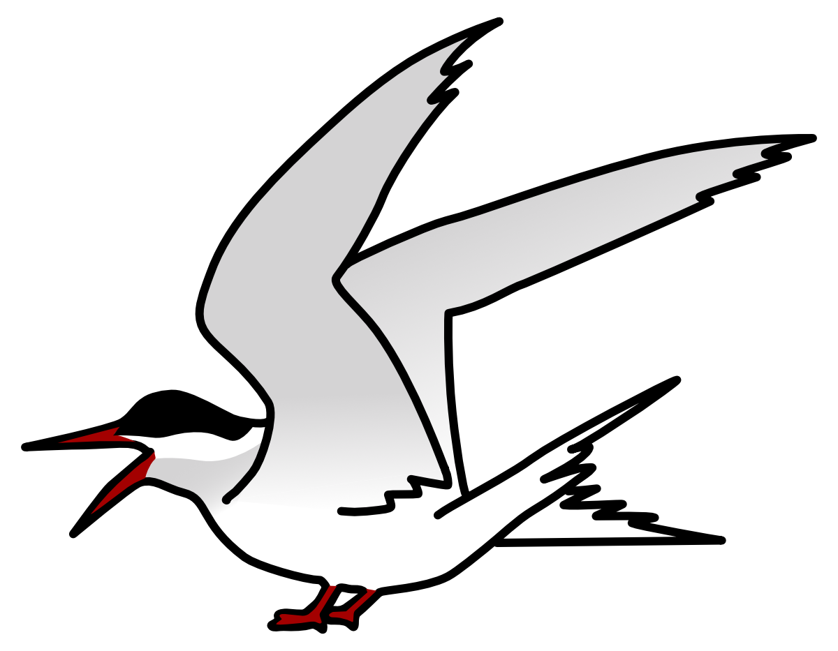 Arctic tern